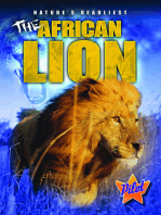 African Lion, The