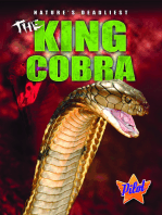 King Cobra, The
