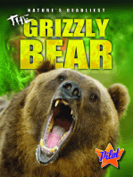 Grizzly Bear, The