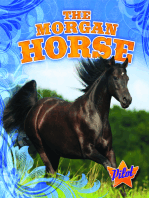 Morgan Horse, The