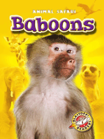 Baboons