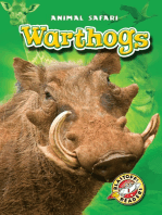 Warthogs