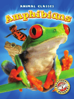 Amphibians