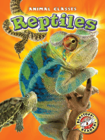 Reptiles