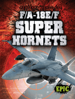 F/A-18E/F Super Hornets
