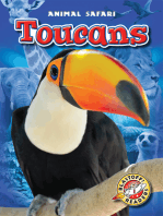 Toucans