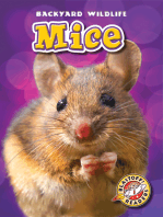 Mice