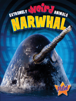 Narwhal