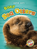 Baby Sea Otters