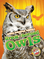 Great-horned Owls