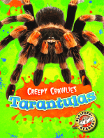 Tarantulas