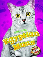 Egyptian Maus