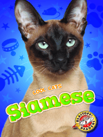 Siamese