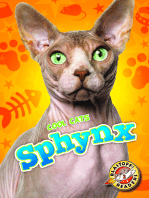 Sphynx