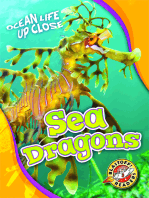 Sea Dragons