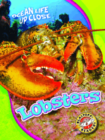 Lobsters