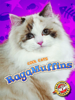 RagaMuffins