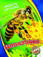 Honeybees