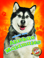 Alaskan Malamutes