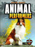 Animal Performers