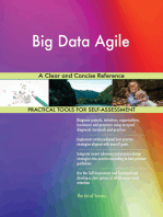 Big Data Agile A Clear and Concise Reference