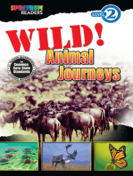 Wild! Animal Journeys: Level 2