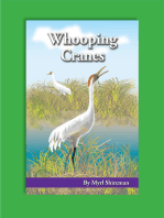 Whooping Cranes: Reading Level 3