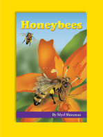 Honeybees: Reading Level 3