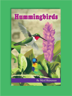 Hummingbirds