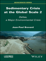 Sedimentary Crisis at the Global Scale 2