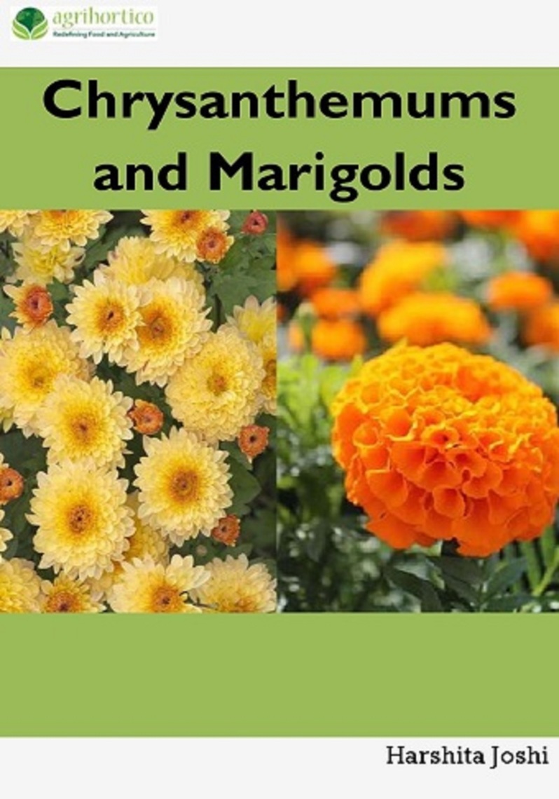 Read Chrysanthemum and Marigold Online by Harshita Joshi Books