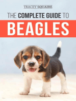 The Complete Guide to Beagles