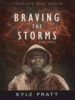 Braving the Storms: Strengthen What Remains, #3