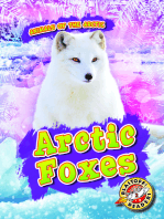 Arctic Foxes