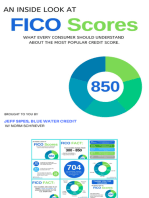 An Inside Look at FICO Scores