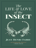 The Life and Love of the Insect