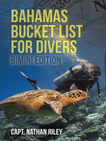 Bahamas Bucket List for Divers