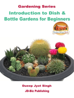 Introduction to Dish & Bottle Gardens for Beginners