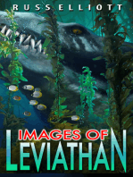 Images of Leviathan