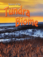 Seasons Of The Tundra Biome