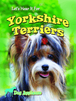 Let's Hear It For Yorkshire Terriers