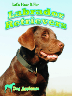 Let's Hear It For Labrador Retrievers