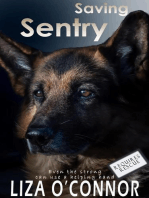 Saving Sentry