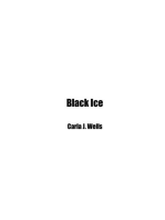 Black Ice