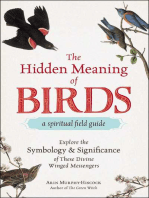 The Hidden Meaning of Birds--A Spiritual Field Guide: Explore the Symbology and Significance of These Divine Winged Messengers