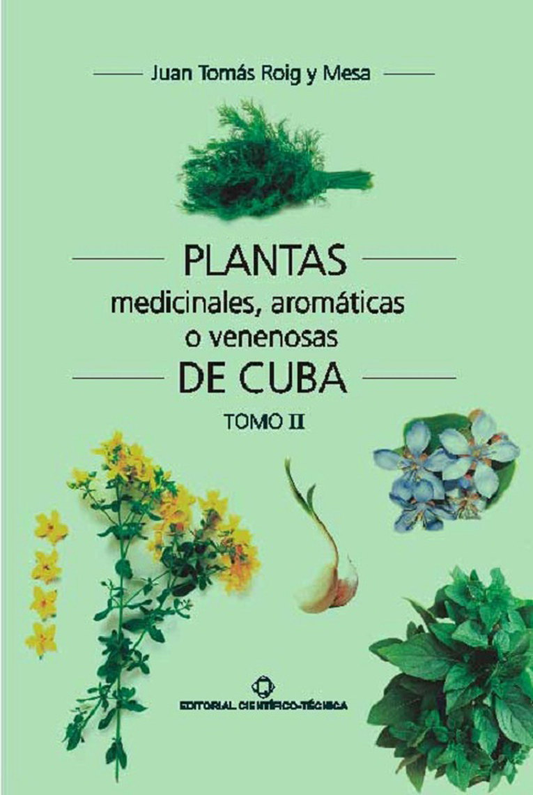 Guía de cuidados del Ficus Elástica \, image size:765x1140