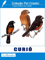 Curió