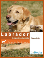Labrador: Guia prático ilustrado