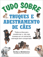 Tudo sobre truques e adestramento de cães