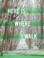 Here is Where I Walk: Episodes From a Life in the Forest